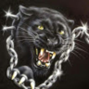 Meet your Posher, Victor